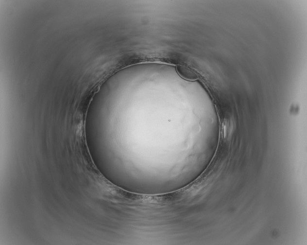 X0000096161251200802011248