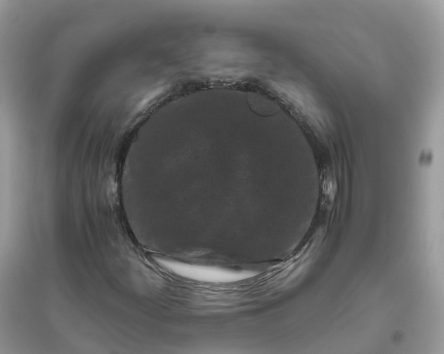 X0000096161252200802011248