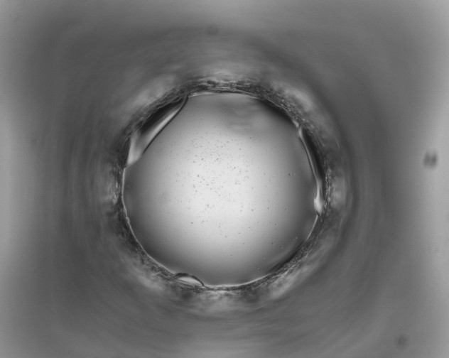 X0000096161253200802011248