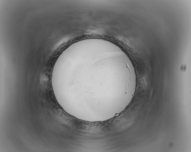 X0000096161254200802011248