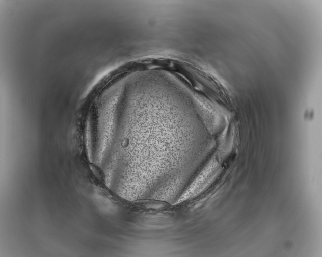 X0000096161256200802011248