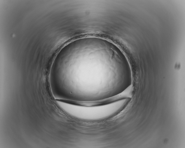 X0000096161257200802011247