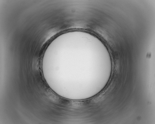 X0000096161258200802011247