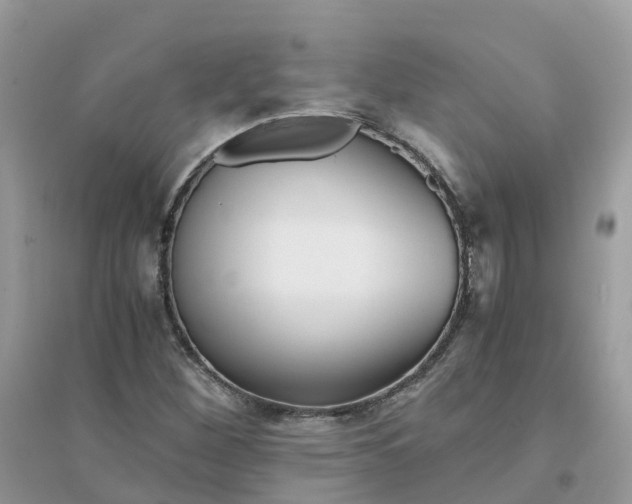 X0000096161260200802011247