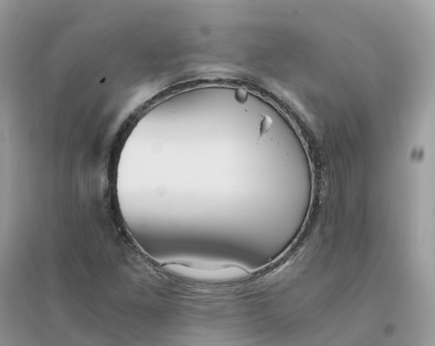 X0000096161261200802011247