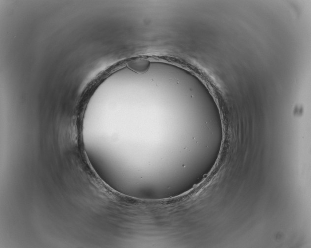 X0000096161262200802011247