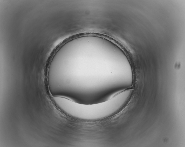 X0000096161264200802011247