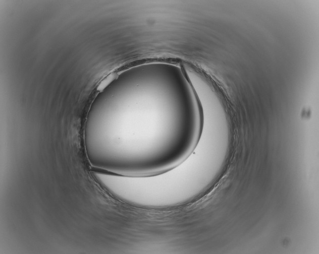 X0000096161265200802011247