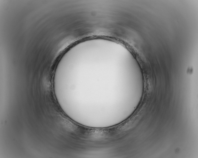 X0000096161266200802011247