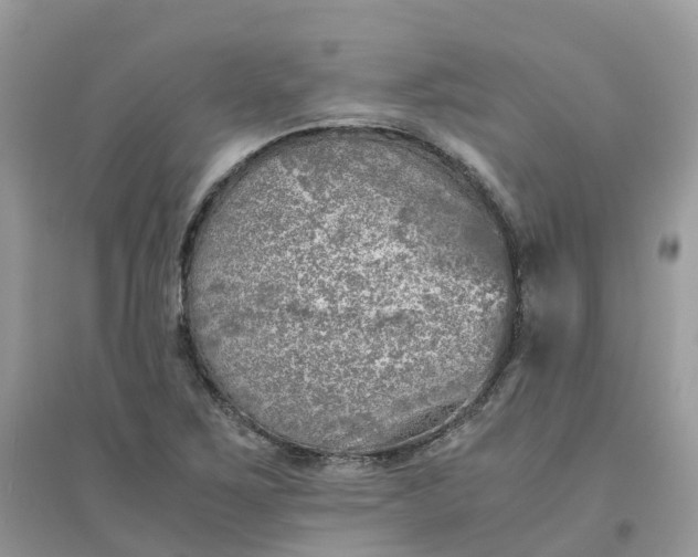 X0000096161267200802011247