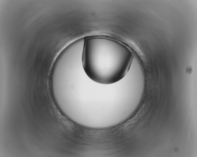 X0000096161268200802011247