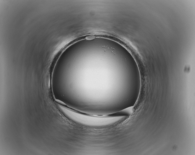 X0000096161269200802011247