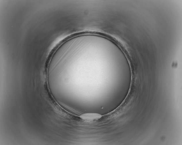 X0000096161271200802011247