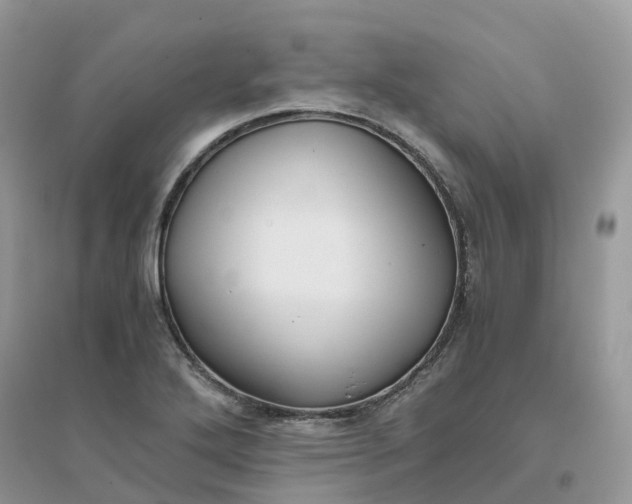 X0000096161272200802011247