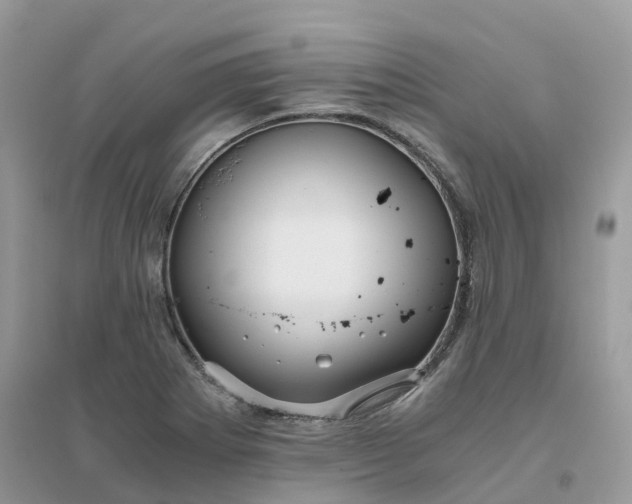 X0000096161273200802011247