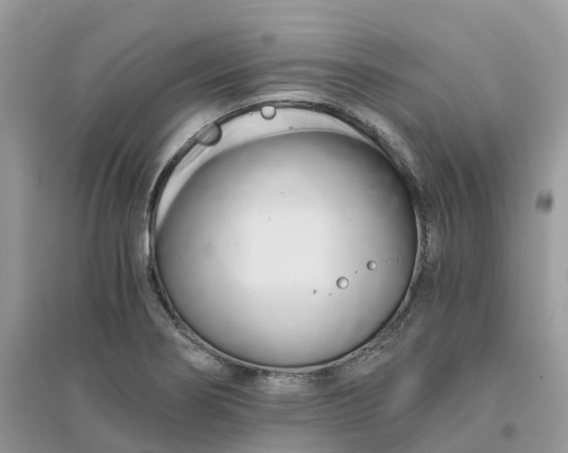 X0000096161274200802011247