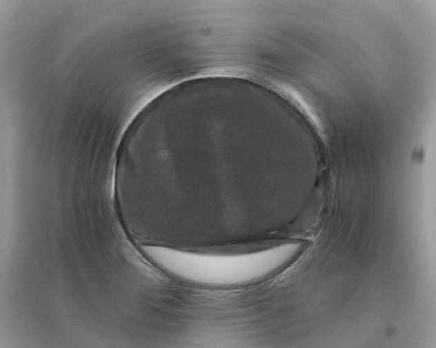 X0000096161276200802011247