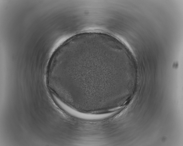 X0000096161277200802011247