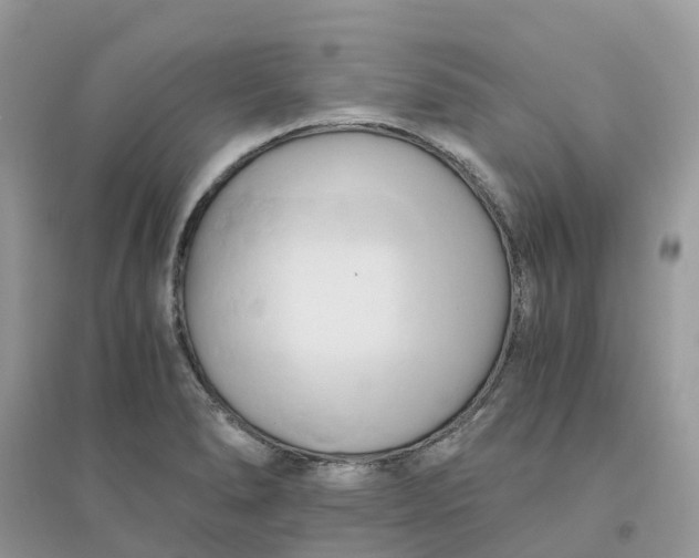 X0000096161278200802011247