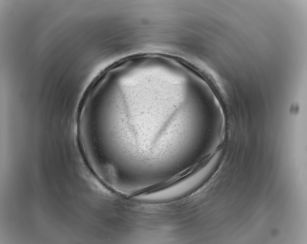 X0000096161280200802011247