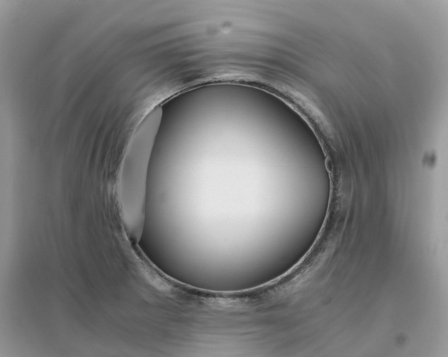 X0000096161281200802011247