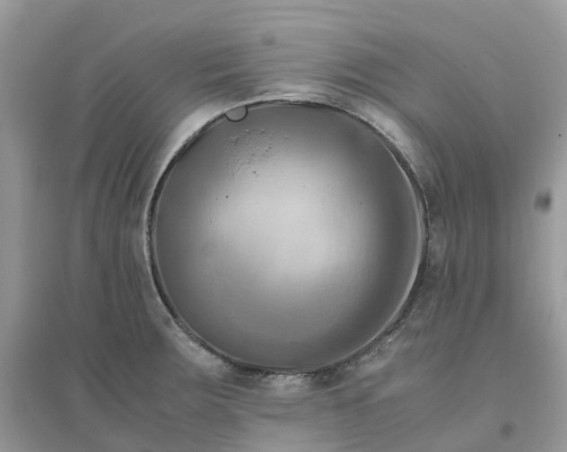 X0000096161283200802011247