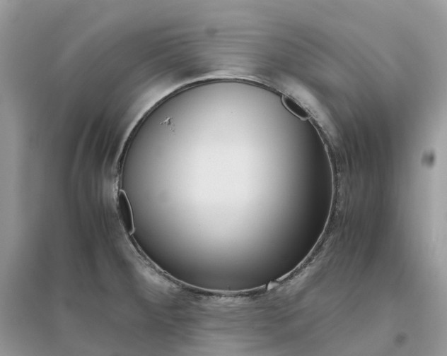 X0000096161284200802011247