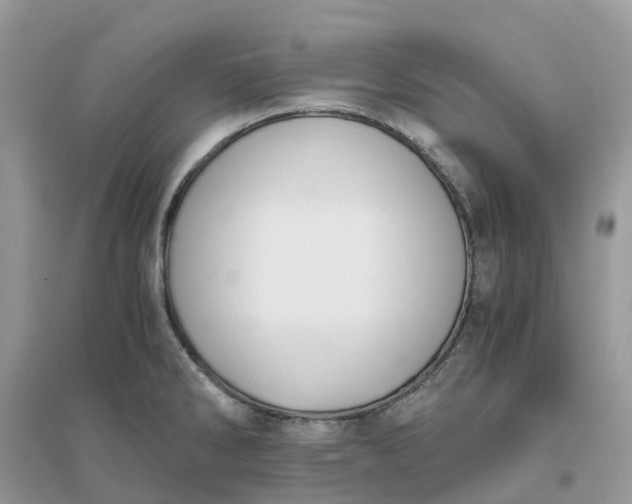 X0000096161286200802011247