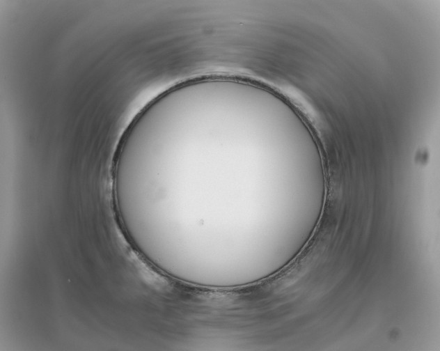 X0000096161287200802011247