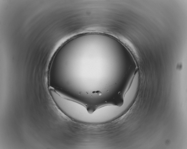 X0000096161288200802011247