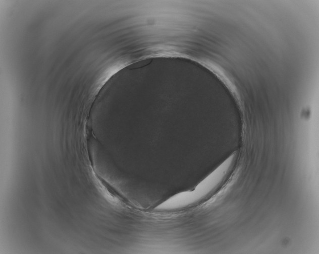 X0000096161289200802011247