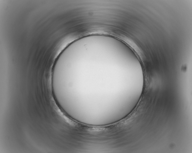 X0000096161290200802011247