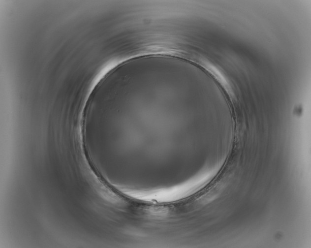 X0000096161291200802011247