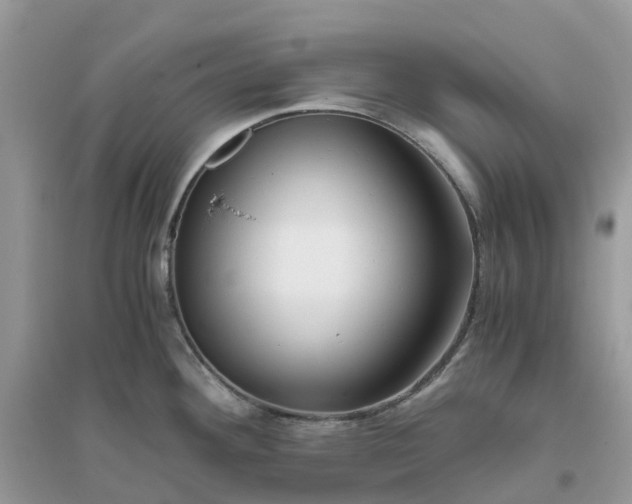 X0000096161292200802011247