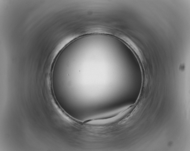 X0000096161293200802011247