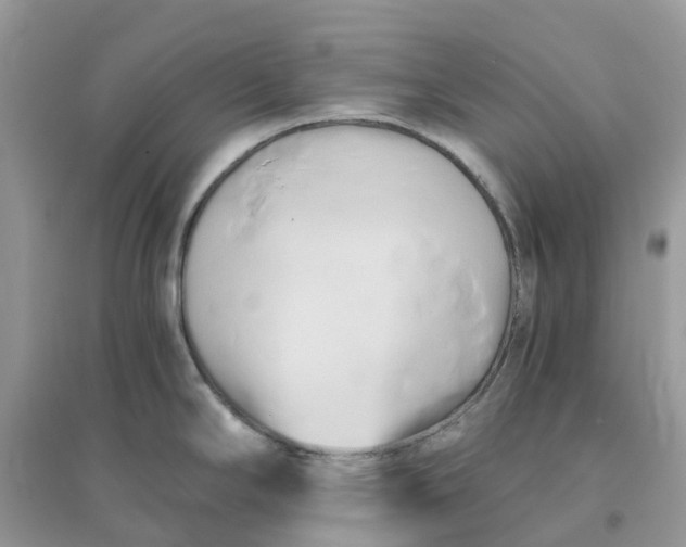 X0000096161294200802011247