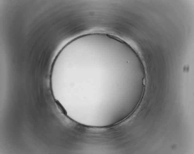 X0000096161296200802011247