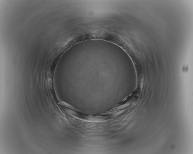 X0000096161298200802011246