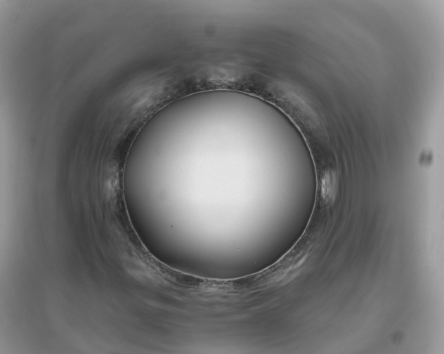 X0000096161299200802011246