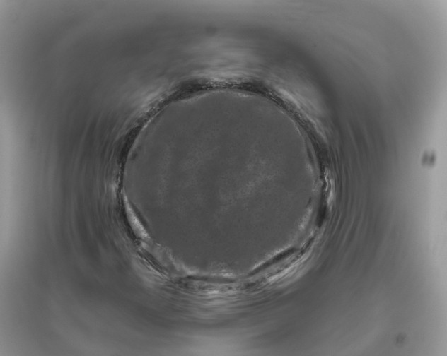 X0000096161300200802011246