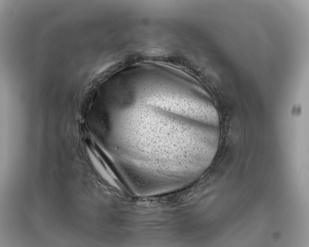 X0000096161301200802011246