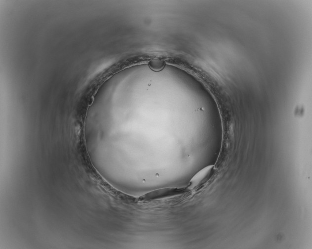 X0000096161302200802011246