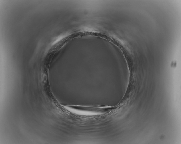 X0000096161303200802011246