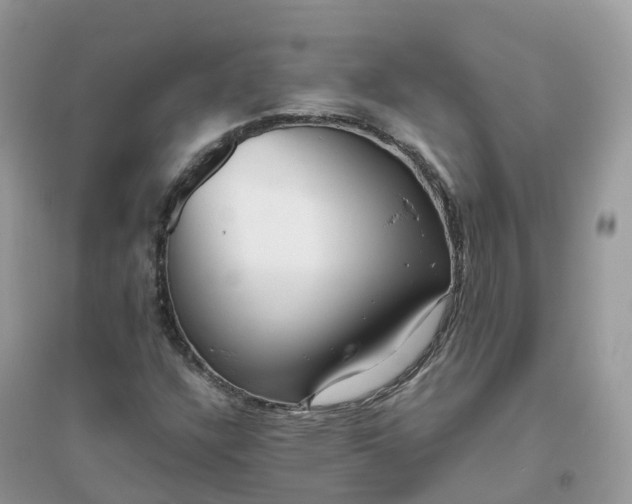 X0000096161304200802011246