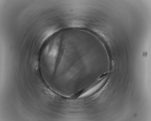 X0000096161306200802011246