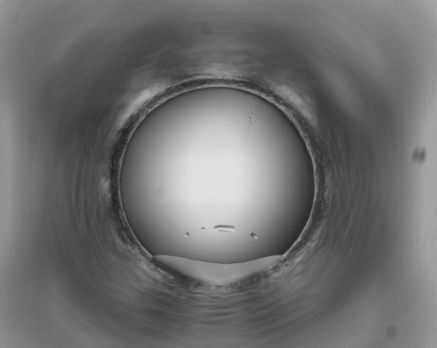 X0000096161307200802011246