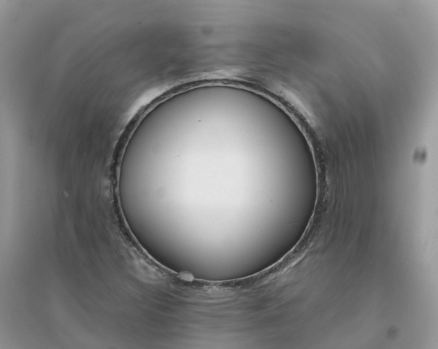 X0000096161308200802011246