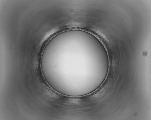 X0000096161309200802011246