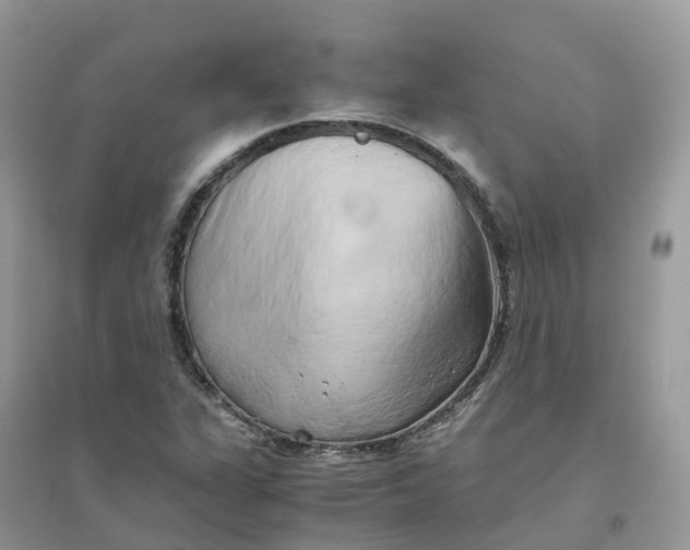 X0000096161311200802011246