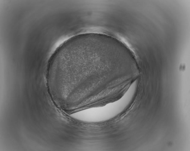 X0000096161312200802011246